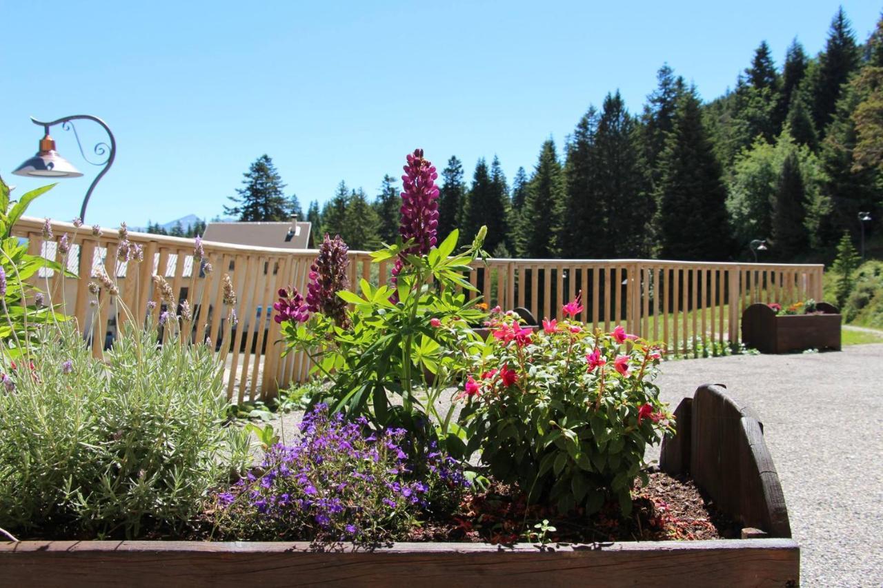 Bed and Breakfast Les Blanches Provencales Selonnet Exterior foto